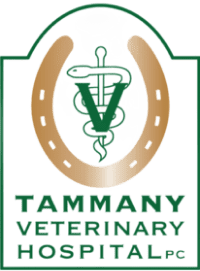 Tammany Veterinary Hospital logo with horseshoe.